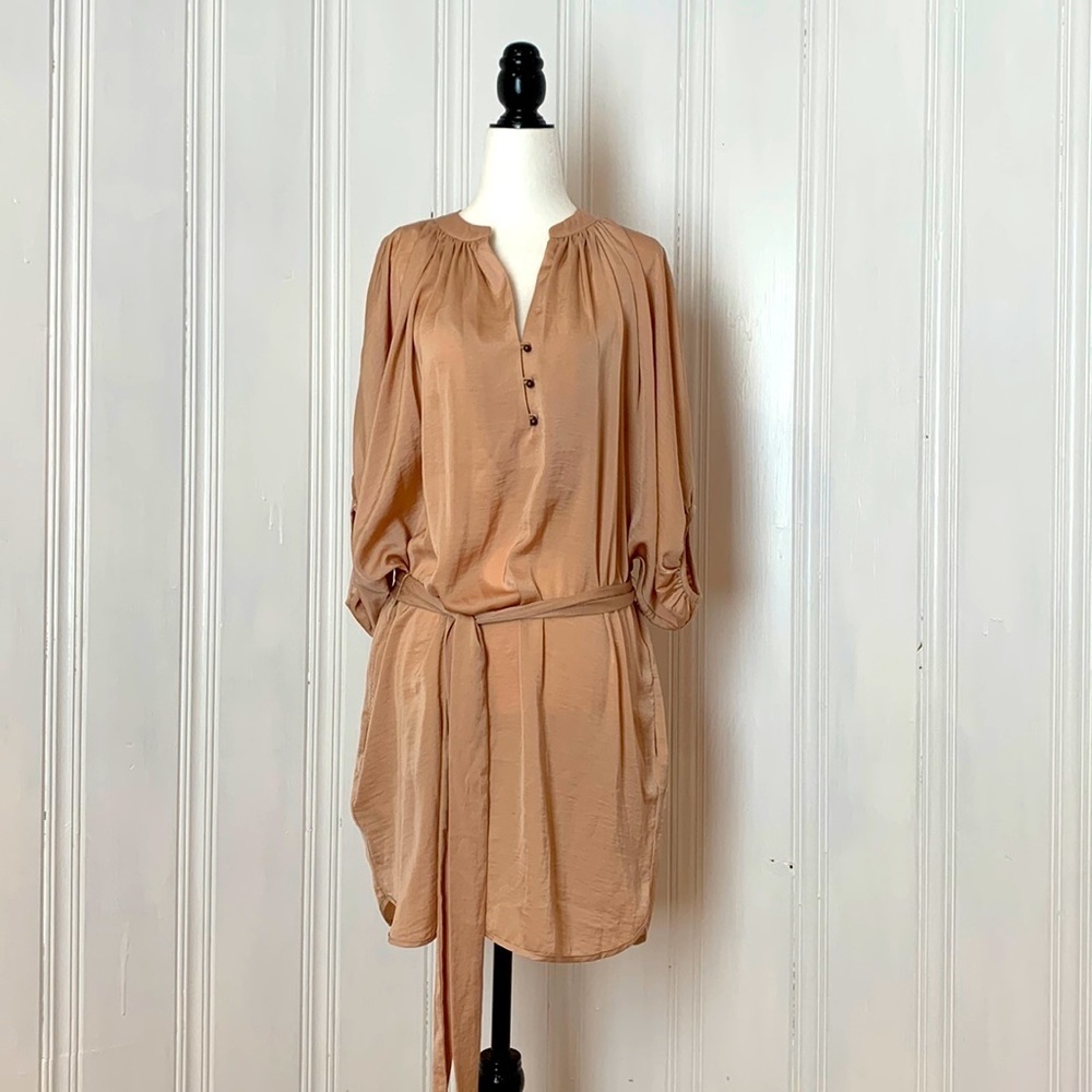 BANANA REPUBLIC Ash pink silky dress tunic